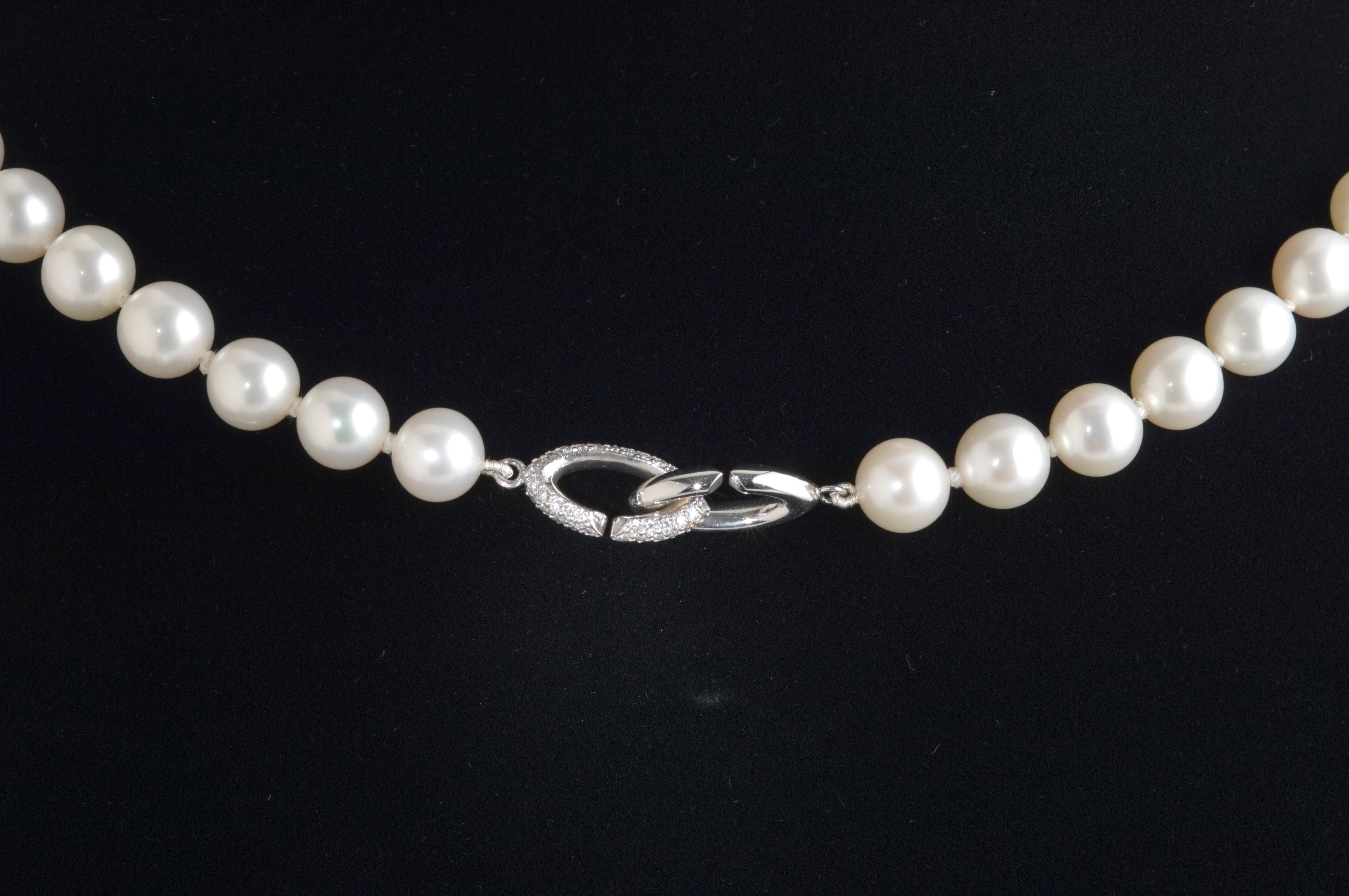 Pearl Clasp Pave